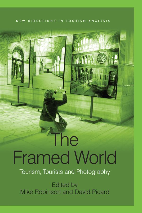 The Framed World by David Picard, Mike Robinson