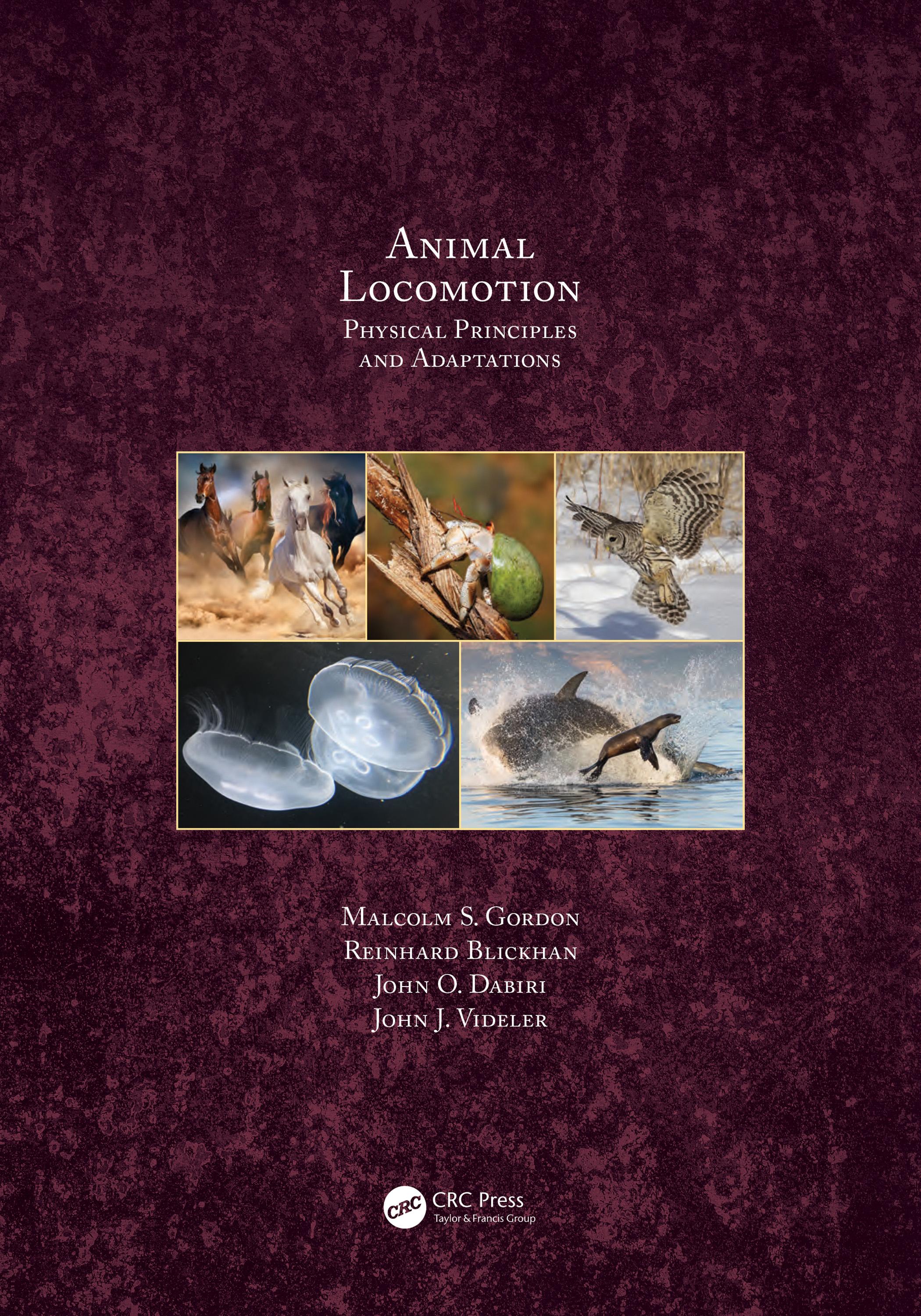 Animal Locomotion