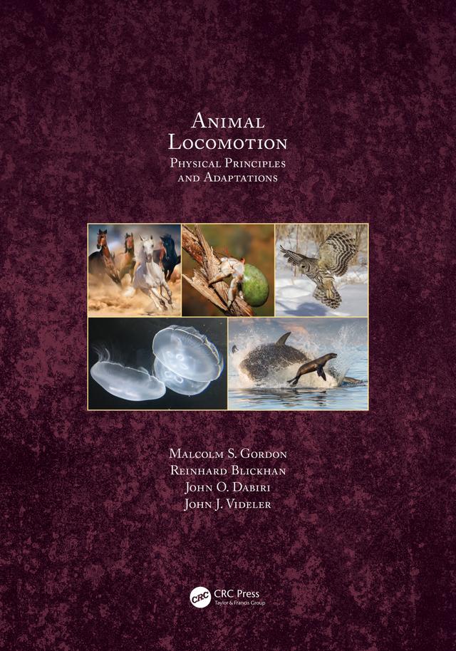 Animal Locomotion by John J. Videler, John O. Dabiri, Malcolm S. Gordon, Reinhard Blickhan