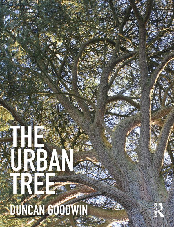 The Urban Tree by Duncan Goodwin