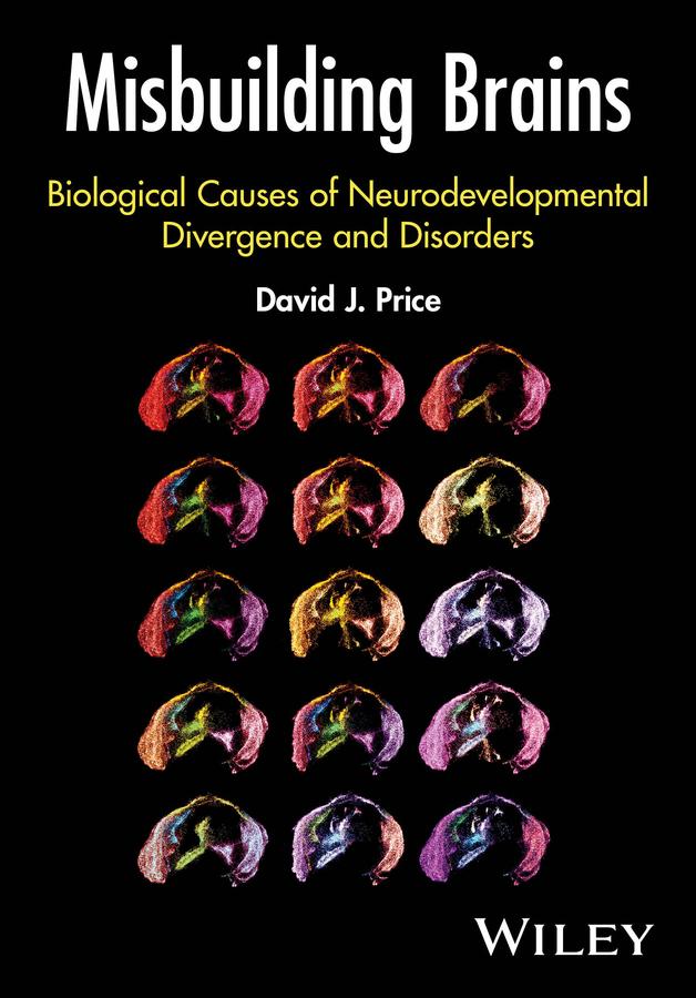 Misbuilding Brains by David J. Price