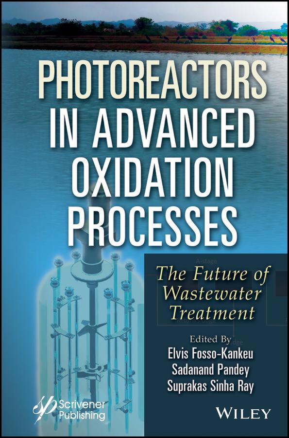 Photoreactors in Advanced Oxidation Process by Elvis Fosso-Kankeu, Sadanand Pandey, Suprakas Sinha Ray