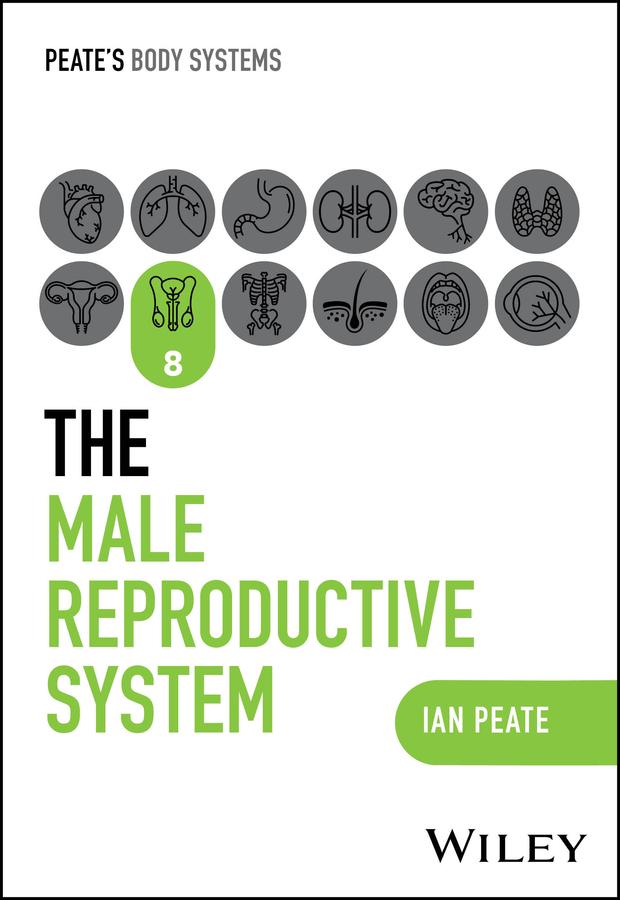 The Male Reproductive System by Ian Peate