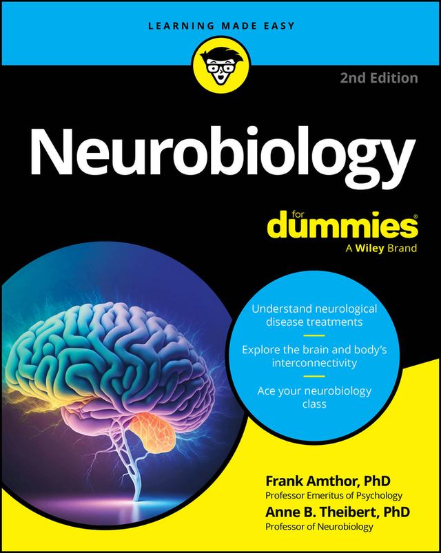 Neurobiology For Dummies by Anne B. Theibert, Frank Amthor