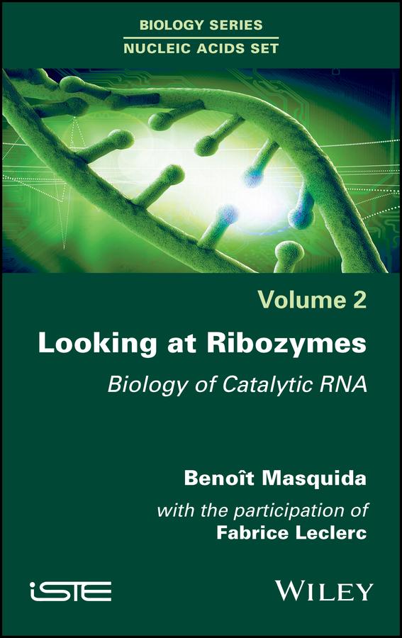 Looking at Ribozymes by Benoît Masquida, Fabrice Leclerc