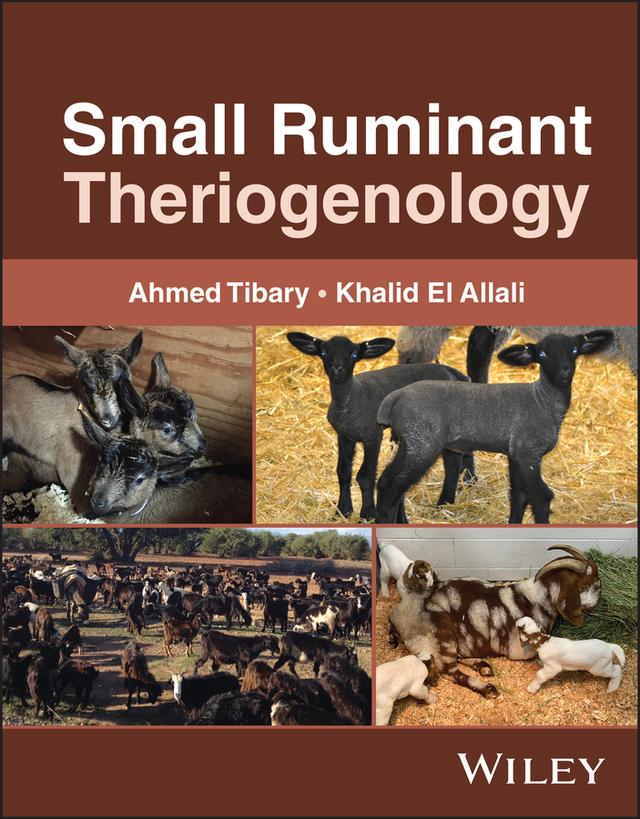 Small Ruminant Theriogenology by Ahmed Tibary, Khalid El Allali