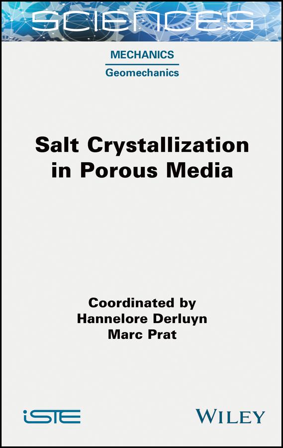 Salt Crystallization in Porous Media by Hannelore Derluyn, Marc Prat