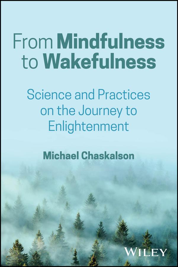 From Mindfulness to Wakefulness by Michael Chaskalson