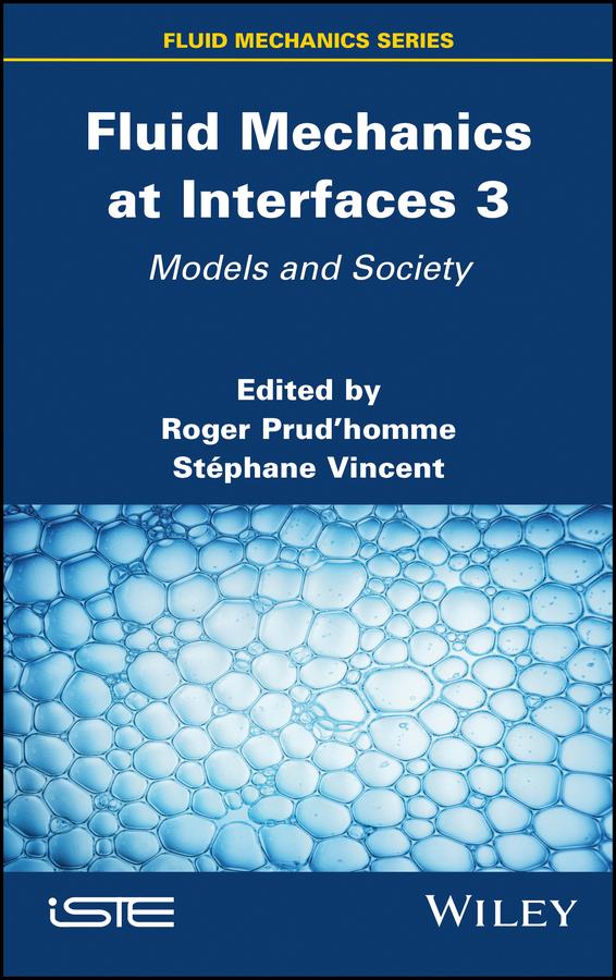 Fluid Mechanics at Interfaces 3 by Roger Prud'homme, Stephane Vincent