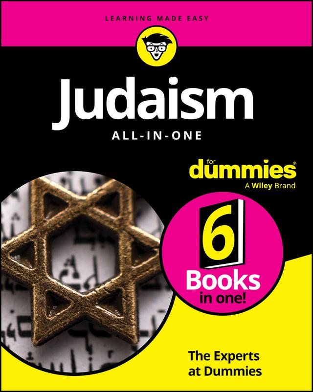Judaism All-In-One For Dummies by 