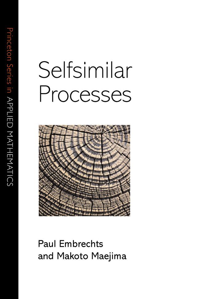 Selfsimilar Processes by Paul Embrechts