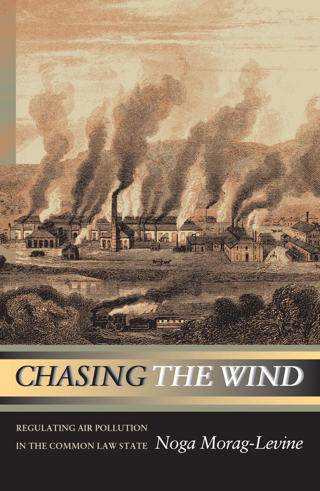 Chasing the Wind by Noga Morag-Levine