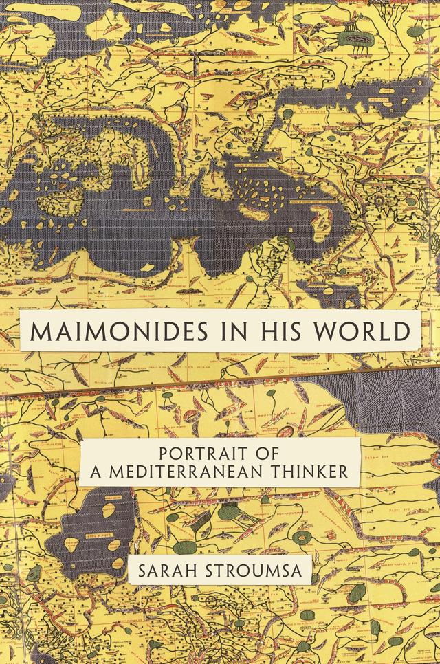 Maimonides in His World by Sarah Stroumsa