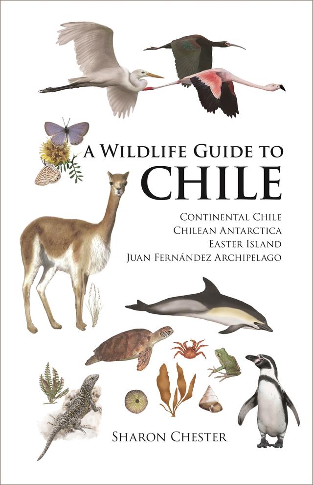 A Wildlife Guide to Chile by Sharon Chester