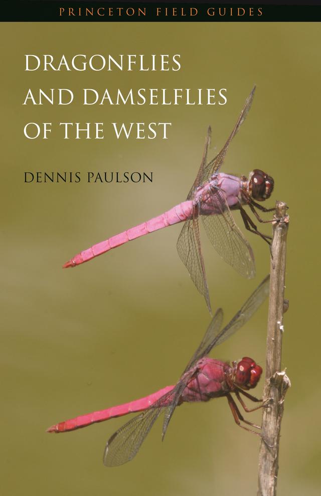 Dragonflies and Damselflies of the West by Dennis Paulson