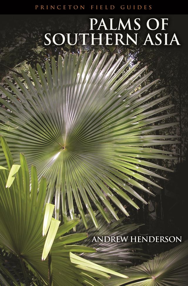 Palms of Southern Asia by Andrew Henderson