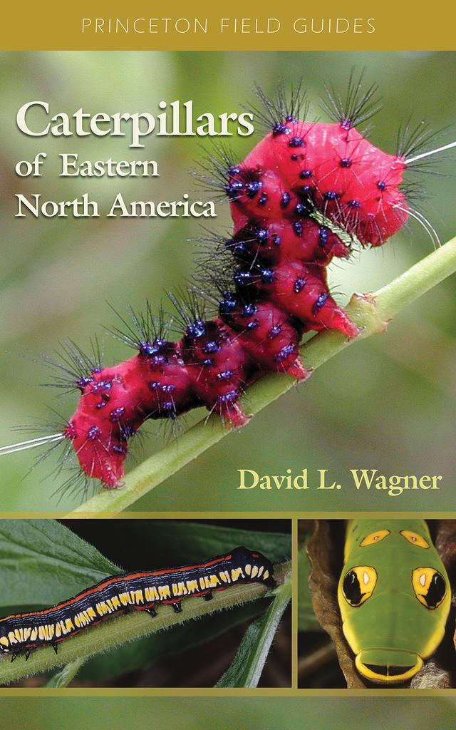 Caterpillars of Eastern North America by David L. Wagner