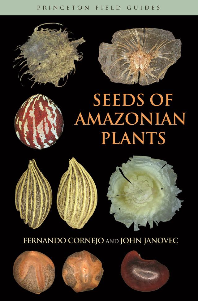 Seeds of Amazonian Plants by Fernando Cornejo, John Janovec