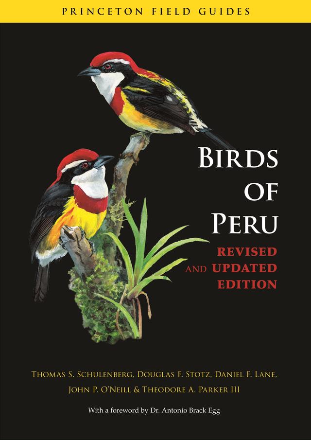 Birds of Peru by Daniel F. Lane, Douglas F. Stotz, Dr. Antonio Brack Egg, John P. O'Neill, Theodore A. Parker III, Thomas S. Schulenberg