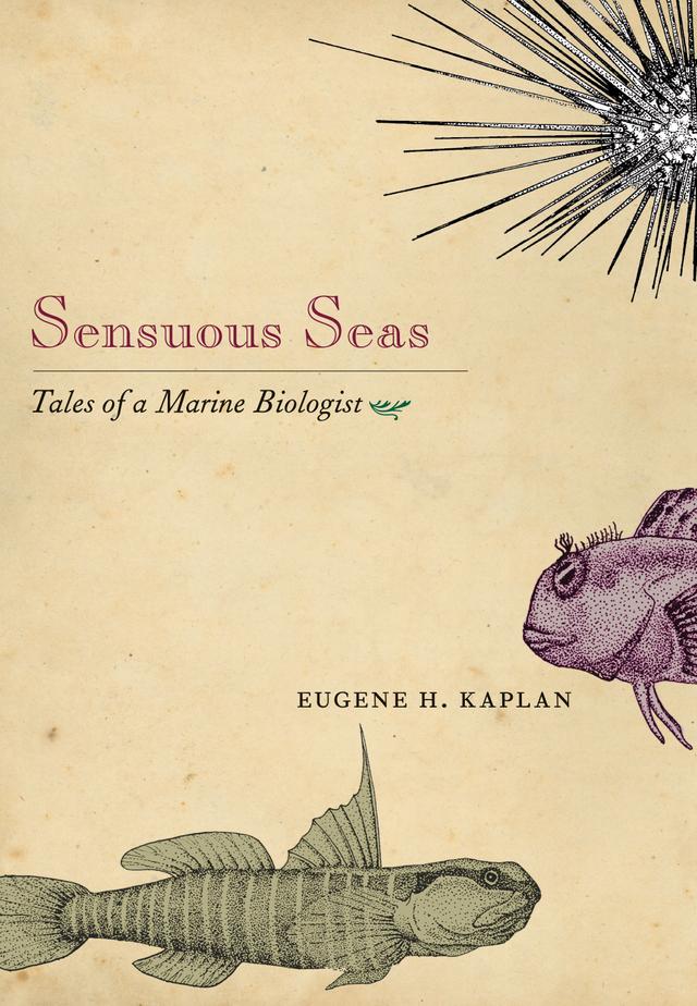 Sensuous Seas by Eugene H. Kaplan