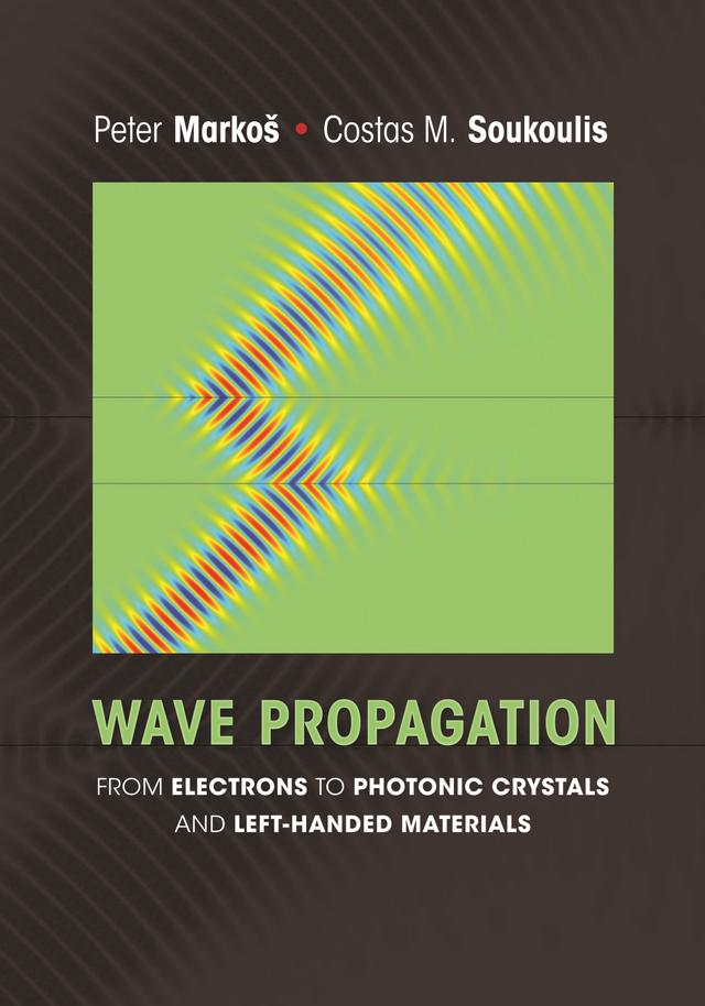 Wave Propagation by Costas M. Soukoulis, Peter Markos
