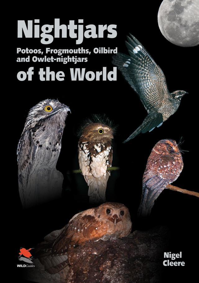Nightjars, Potoos, Frogmouths, Oilbird, and Owlet-nightjars of the World by Nigel Cleere