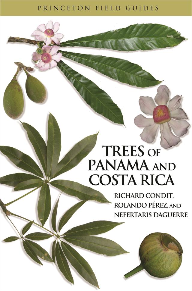 Trees of Panama and Costa Rica by Nefertaris Daguerre, Richard Condit, Rolando A. Pérez