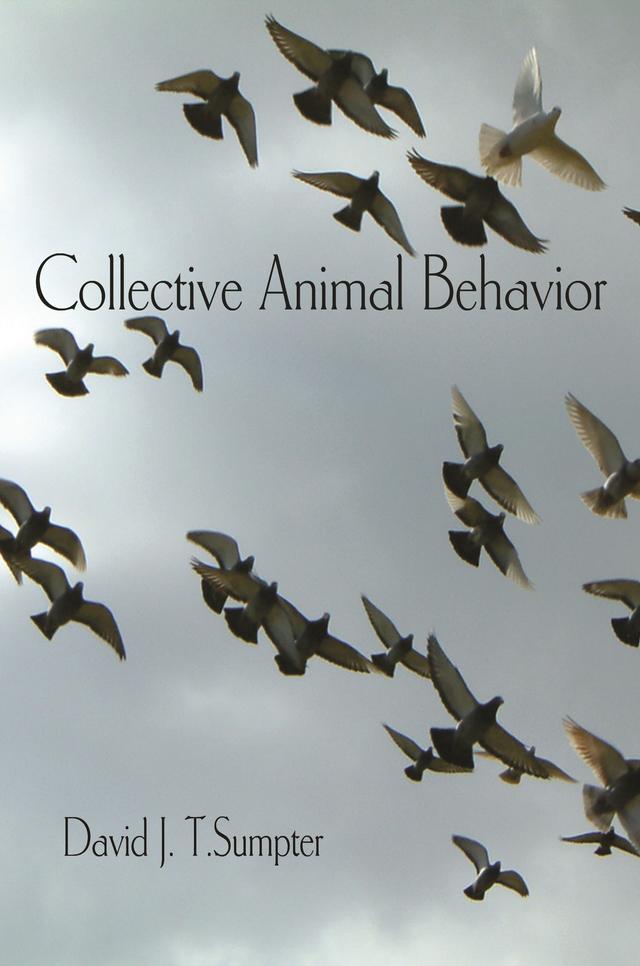 Collective Animal Behavior by David J. T. Sumpter