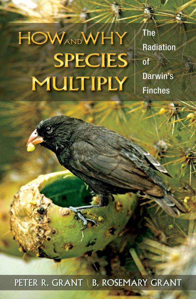 How and Why Species Multiply by B. Rosemary Grant, Peter R. Grant