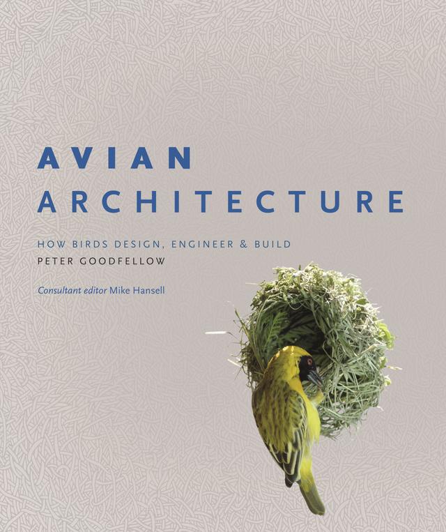 Avian Architecture by Peter Goodfellow