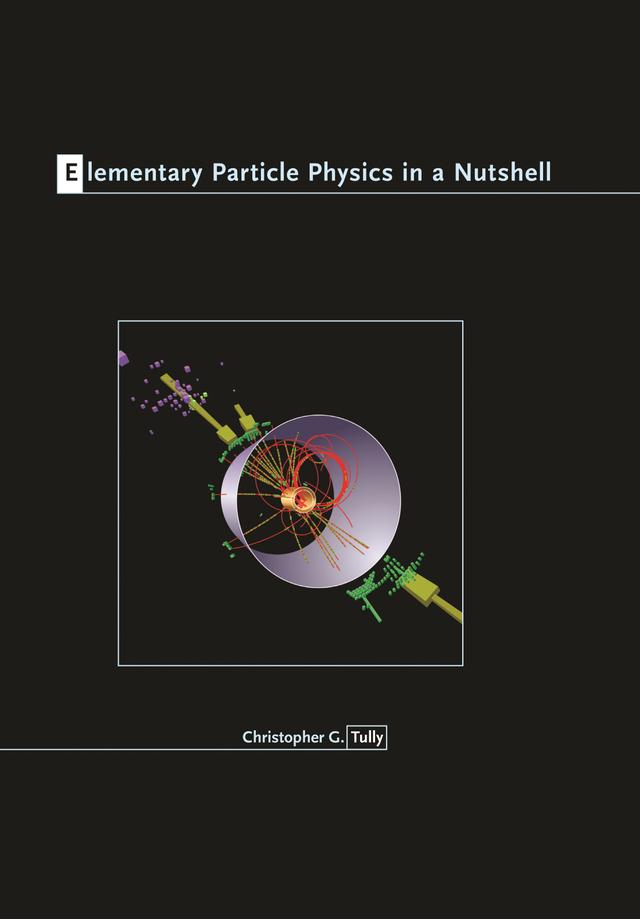 Elementary Particle Physics in a Nutshell by Christopher G. Tully