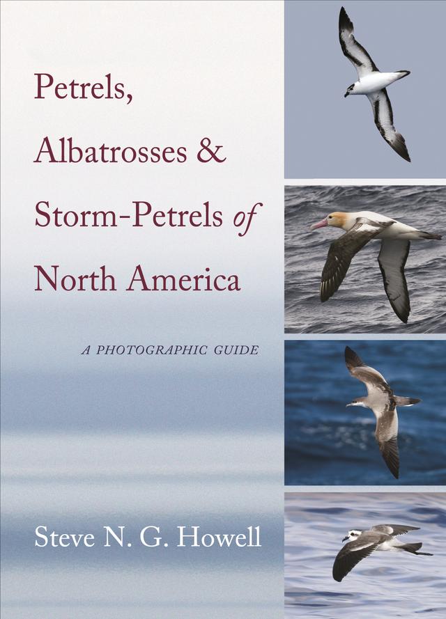 Petrels, Albatrosses, and Storm-Petrels of North America by Steve N. G. Howell