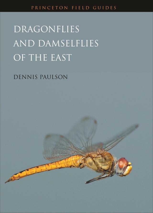 Dragonflies and Damselflies of the East by Dennis Paulson
