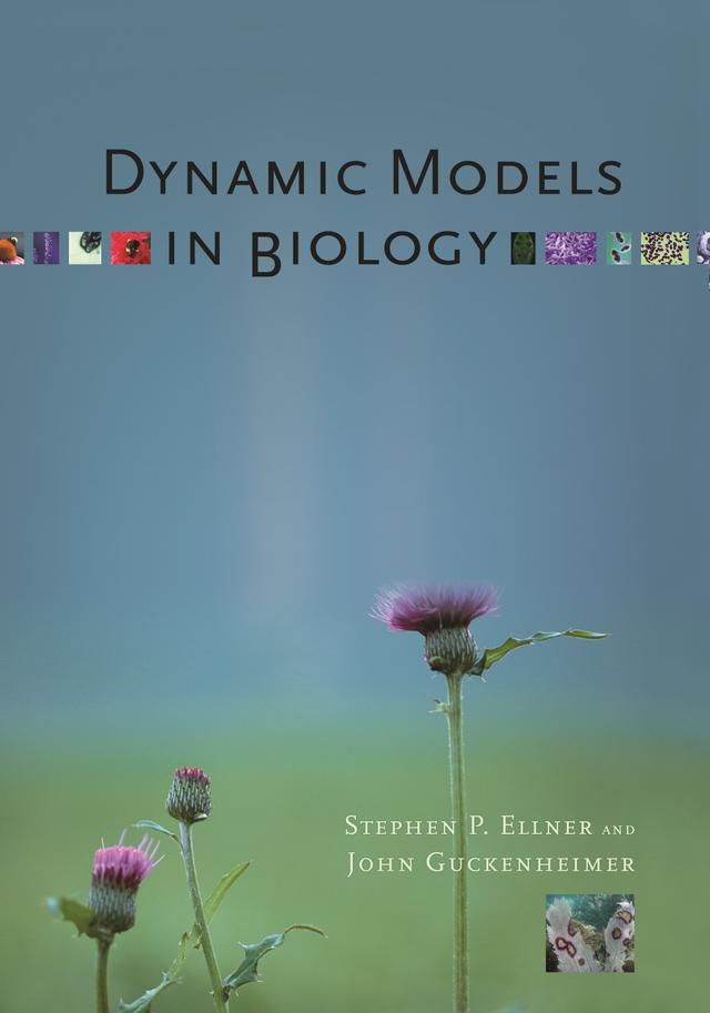 Dynamic Models in Biology by John Guckenheimer, Stephen P. Ellner