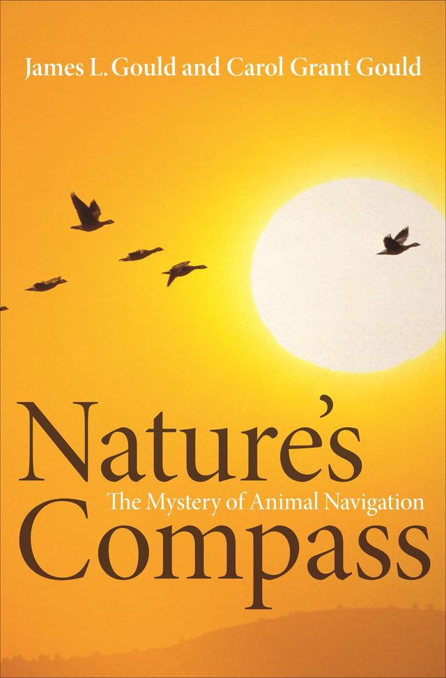 Nature's Compass by Carol Grant Gould, James L. Gould