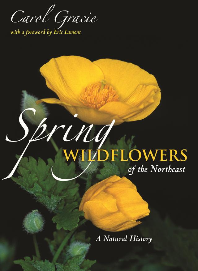 Spring Wildflowers of the Northeast by Carol Gracie, Eric Lamont