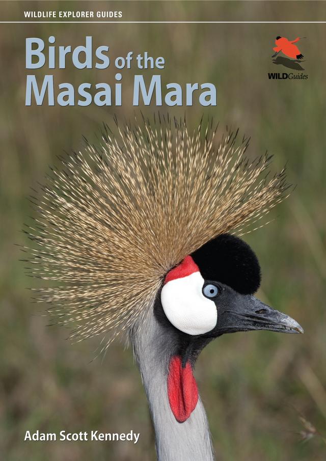 Birds of the Masai Mara by Adam Scott Kennedy