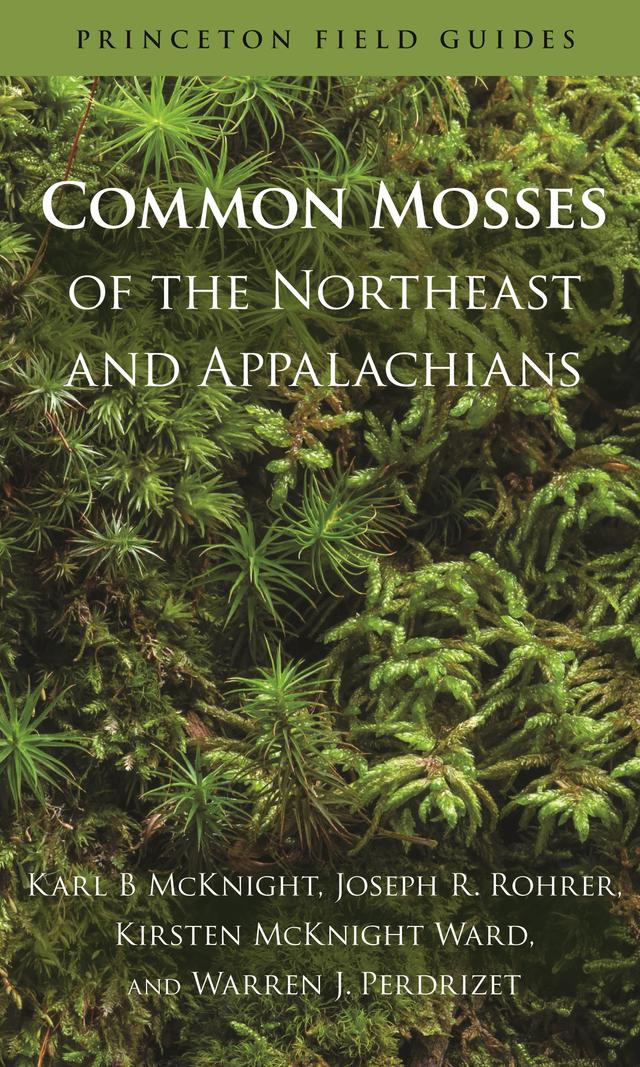 Common Mosses of the Northeast and Appalachians by Joseph R. Rohrer, Karl B McKnight, Kirsten McKnight Ward, Warren J. Perdrizet