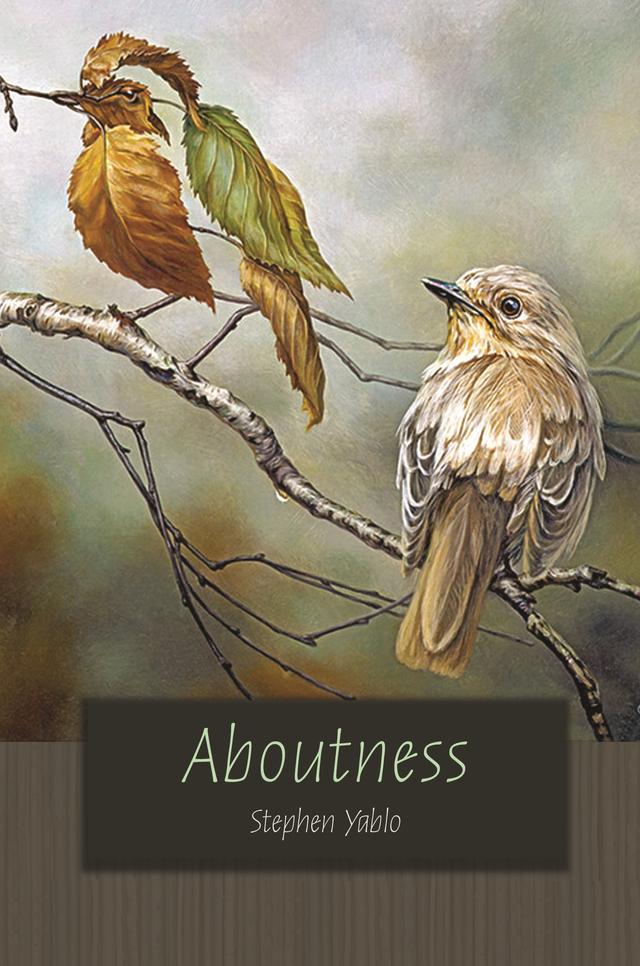 Aboutness by Stephen Yablo
