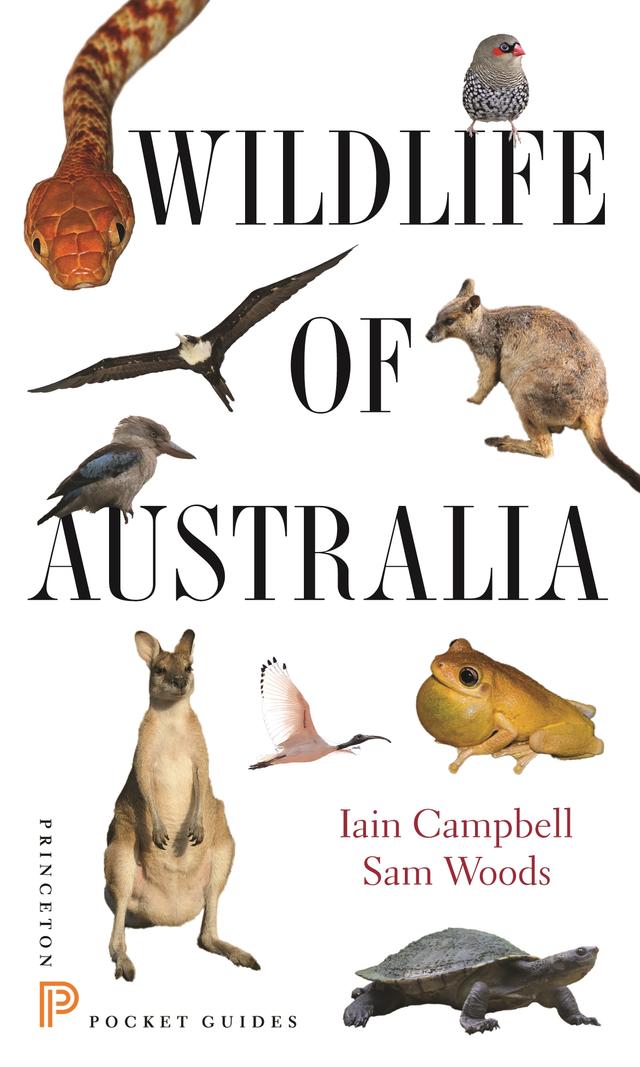 Wildlife of Australia by Iain Campbell, Sam Woods