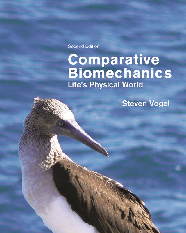 Comparative Biomechanics by Steven Vogel