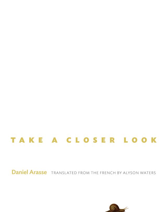 Take a Closer Look by Alyson Waters, Daniel Arasse