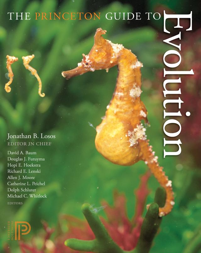 The Princeton Guide to Evolution by Allen J. Moore, Catherine L. Peichel, David A. Baum, Dolph Schluter, Douglas J. Futuyma, Hopi E. Hoekstra, Jonathan B. Losos, Michael C. Whitlock, Richard E. Lenski