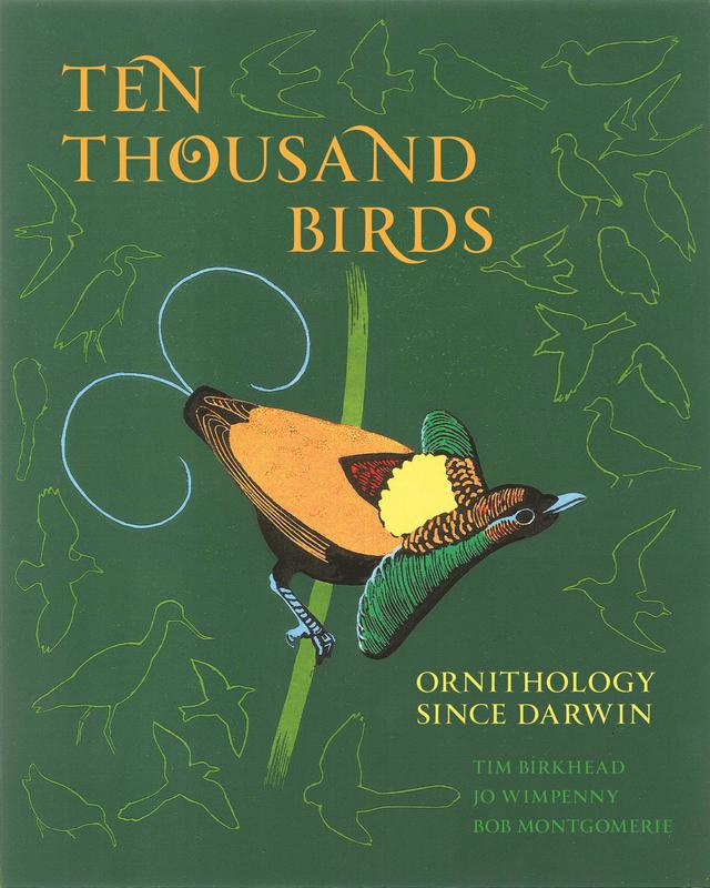 Ten Thousand Birds by Bob Montgomerie, Jo Wimpenny, Tim Birkhead