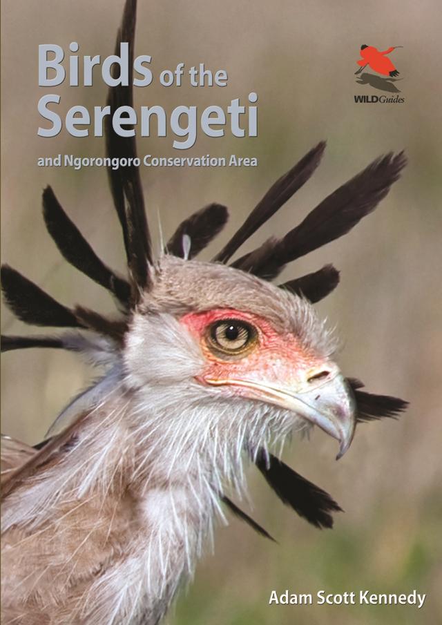 Birds of the Serengeti by Adam Scott Kennedy