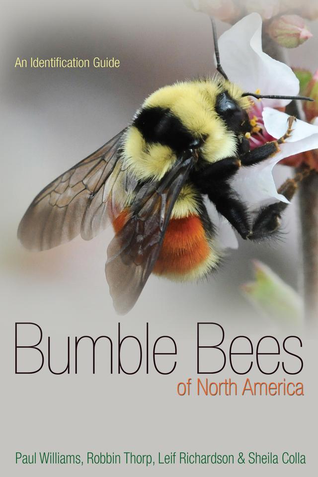 Bumble Bees of North America by Leif L. Richardson, Paul H. Williams, Robbin W. Thorp, Sheila R. Colla