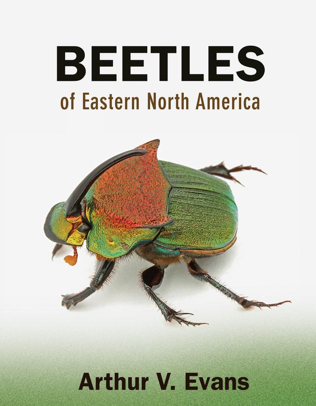 Beetles of Eastern North America by Arthur V. Evans