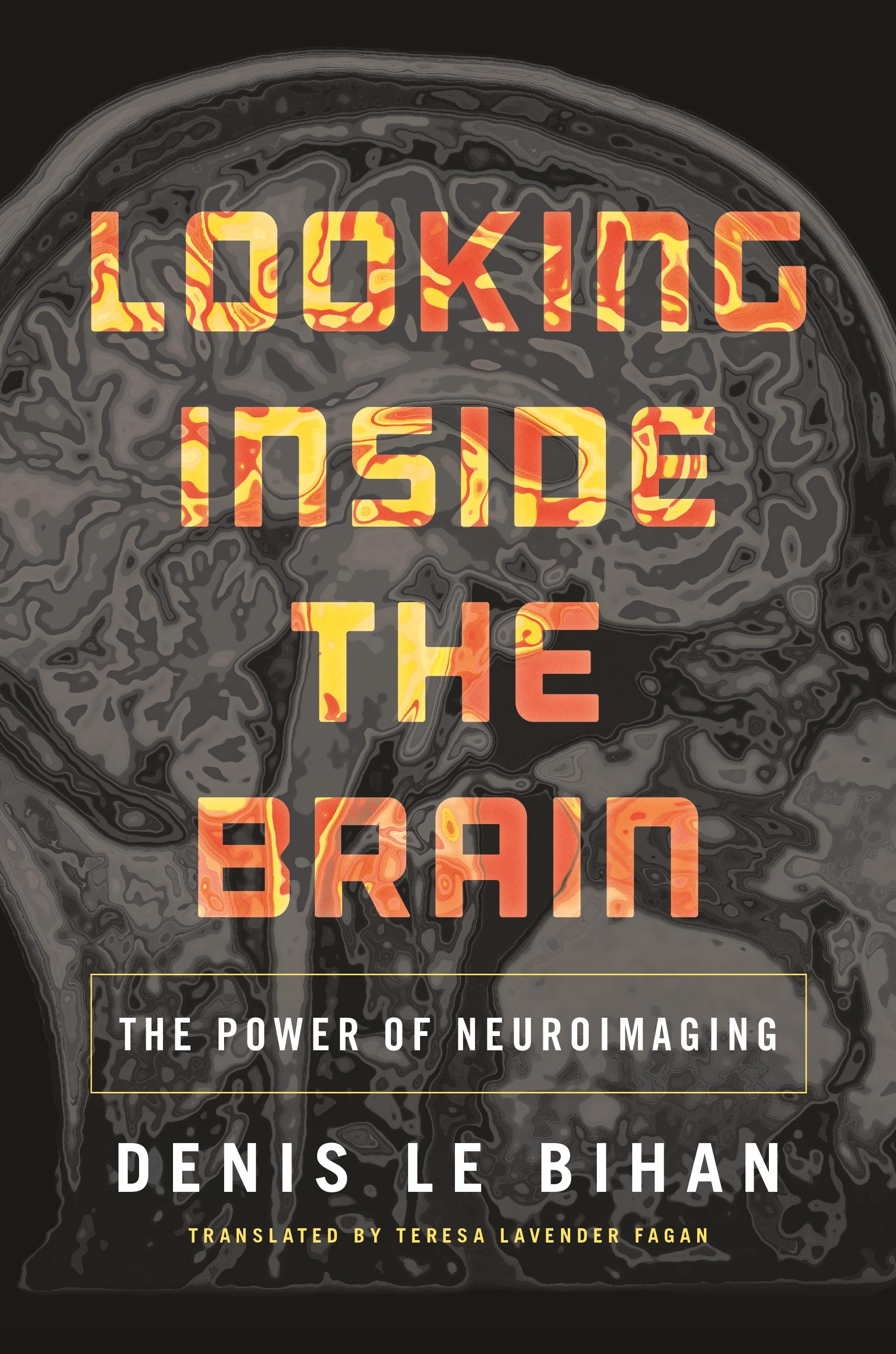 Looking Inside the Brain