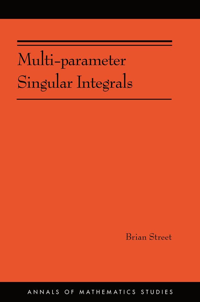 Multi-parameter Singular Integrals, Volume I by Brian Street