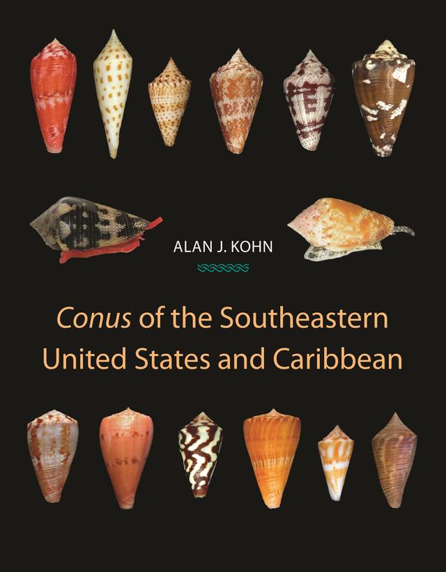 Conus of the Southeastern United States and Caribbean by Alan J. Kohn